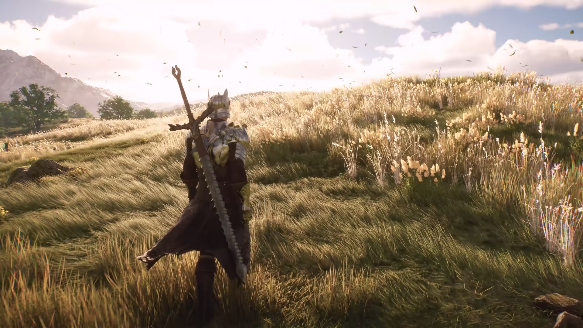Armoured character wielding a greatsword in a sunlit grass field